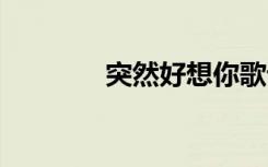 突然好想你歌詞 好想你歌詞