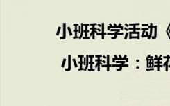 小班科學(xué)活動(dòng)《花》 小班教案 | 小班科學(xué)：鮮花朵朵開