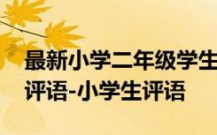 最新小學二年級學生評語 小學生二年級學生評語-小學生評語
