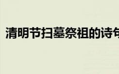 清明節(jié)掃墓祭祖的詩句 清明節(jié)祭祖掃墓詩詞