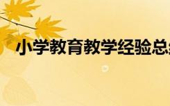 小學(xué)教育教學(xué)經(jīng)驗總結(jié) 教育教學(xué)經(jīng)驗總結(jié)