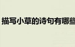 描寫小草的詩句有哪些? 描寫小草的經典詩句