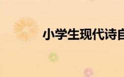 小學(xué)生現(xiàn)代詩自編 現(xiàn)代兒童詩