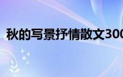 秋的寫景抒情散文300字 秋的寫景抒情散文