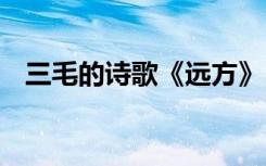 三毛的詩歌《遠方》出自哪里 三毛的詩歌