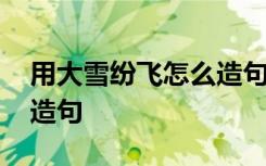 用大雪紛飛怎么造句二年級 用大雪紛飛怎么造句