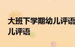 大班下學(xué)期幼兒評語簡短40條 大班下學(xué)期幼兒評語