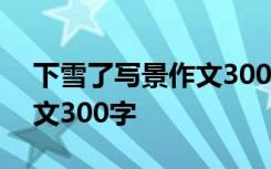 下雪了寫景作文300字怎么寫 下雪了寫景作文300字