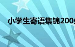 小學(xué)生寄語(yǔ)集錦200條 小學(xué)生寄語(yǔ)簡(jiǎn)短話