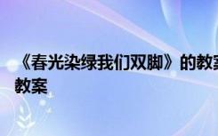 《春光染綠我們雙腳》的教案反思 《春光染綠我們雙腳》的教案