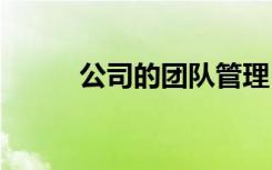 公司的團(tuán)隊(duì)管理 管理團(tuán)隊(duì)的方案