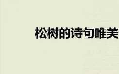 松樹的詩(shī)句唯美句子 松樹的詩(shī)句