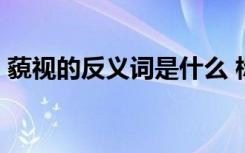 藐視的反義詞是什么 標準答案 藐視的反義詞