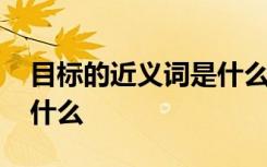 目標(biāo)的近義詞是什么二年級(jí) 目標(biāo)的近義詞是什么