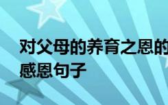 對(duì)父母的養(yǎng)育之恩的作文 對(duì)父母養(yǎng)育之恩的感恩句子
