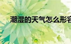 潮濕的天氣怎么形容 潮濕天氣的問(wèn)候語(yǔ)