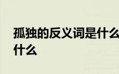 孤獨的反義詞是什么四個字 孤獨的反義詞是什么