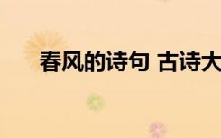 春風(fēng)的詩(shī)句 古詩(shī)大全 春風(fēng)的優(yōu)秀詩(shī)句