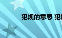 犯規(guī)的意思 犯規(guī)的解釋及造句
