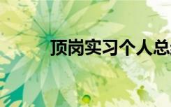 頂崗實(shí)習(xí)個(gè)人總結(jié) 實(shí)習(xí)報(bào)告?zhèn)€人