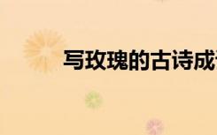 寫玫瑰的古詩成語 寫玫瑰的古詩