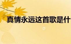 真情永遠(yuǎn)這首歌是什么意思 真情永遠(yuǎn)美文