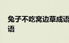 兔子不吃窩邊草成語形容 兔子不吃窩邊草成語