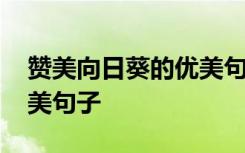 贊美向日葵的優(yōu)美句子集錦 贊美向日葵的優(yōu)美句子