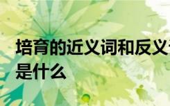 培育的近義詞和反義詞是什么? 培育的近義詞是什么