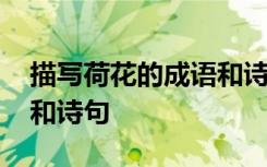 描寫荷花的成語和詩句古詩 描寫荷花的成語和詩句