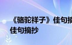 《駱駝祥子》佳句摘抄及感悟 《駱駝祥子》佳句摘抄