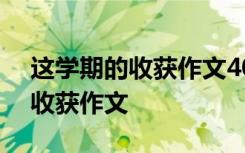 這學(xué)期的收獲作文400字五點(diǎn)年級(jí) 這學(xué)期的收獲作文