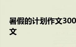 暑假的計劃作文300字三年級 暑假的計劃作文