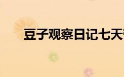 豆子觀察日記七天帶圖 豆子觀察日記