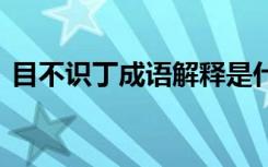 目不識丁成語解釋是什么 目不識丁成語解釋
