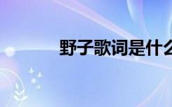 野子歌詞是什么意思 野子歌詞