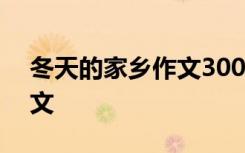 冬天的家鄉(xiāng)作文300字三年級 冬天的家鄉(xiāng)作文