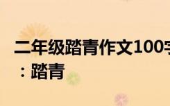 二年級(jí)踏青作文100字 二年級(jí)寫景作文200字：踏青