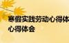 寒假實(shí)踐勞動(dòng)心得體會(huì)怎么寫 寒假實(shí)踐勞動(dòng)心得體會(huì)