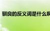 馴良的反義詞是什么啊 馴良的反義詞是什么