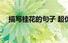 描寫桂花的句子 超優(yōu)美 描寫桂花的句子
