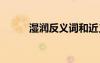 濕潤(rùn)反義詞和近義詞 濕潤(rùn)反義詞