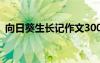 向日葵生長記作文300字 向日葵生長記作文