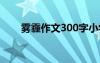 霧霾作文300字小學(xué) 霧霾作文400字