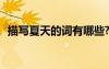 描寫夏天的詞有哪些? 描寫夏天的詞有哪些