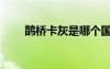 鵲橋卡灰是哪個(gè)國(guó)家的（鵲橋卡灰）