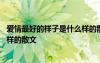 愛情最好的樣子是什么樣的散文作文 愛情最好的樣子是什么樣的散文