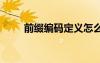 前綴編碼定義怎么寫 前綴編碼定義