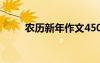 農(nóng)歷新年作文450字 農(nóng)歷新年作文