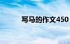 寫馬的作文450 馬的作文400字